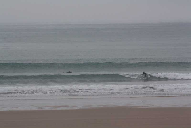 Houle d’ouest en baisse vent S à SE faible petit surf Houle d’ouest en baisse vent S à SE faible petit surf