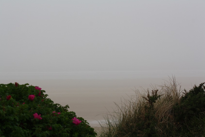 Brouillard et petite houle Brouillard et petite houle