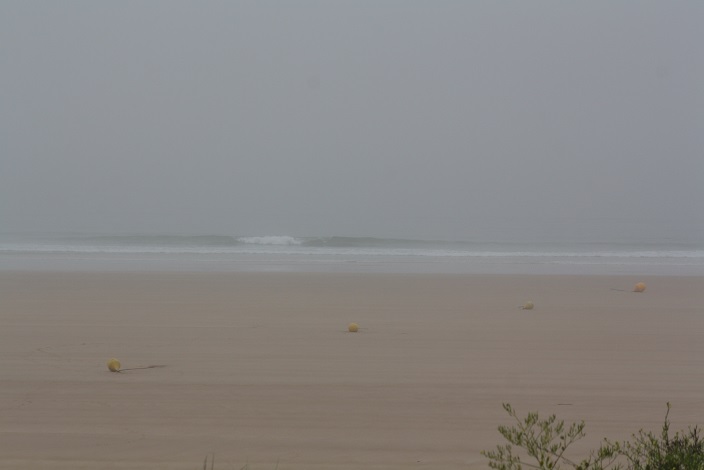 Houle propre en baisse et brouillard Houle propre en baisse et brouillard