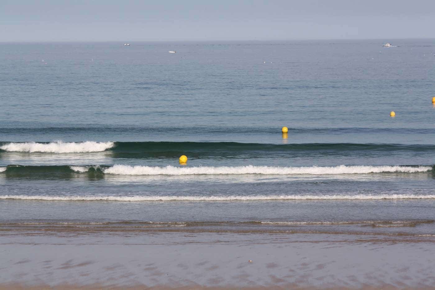 Petites vagues propres vent NE puis sud faible Petites vagues propres vent NE puis sud faible