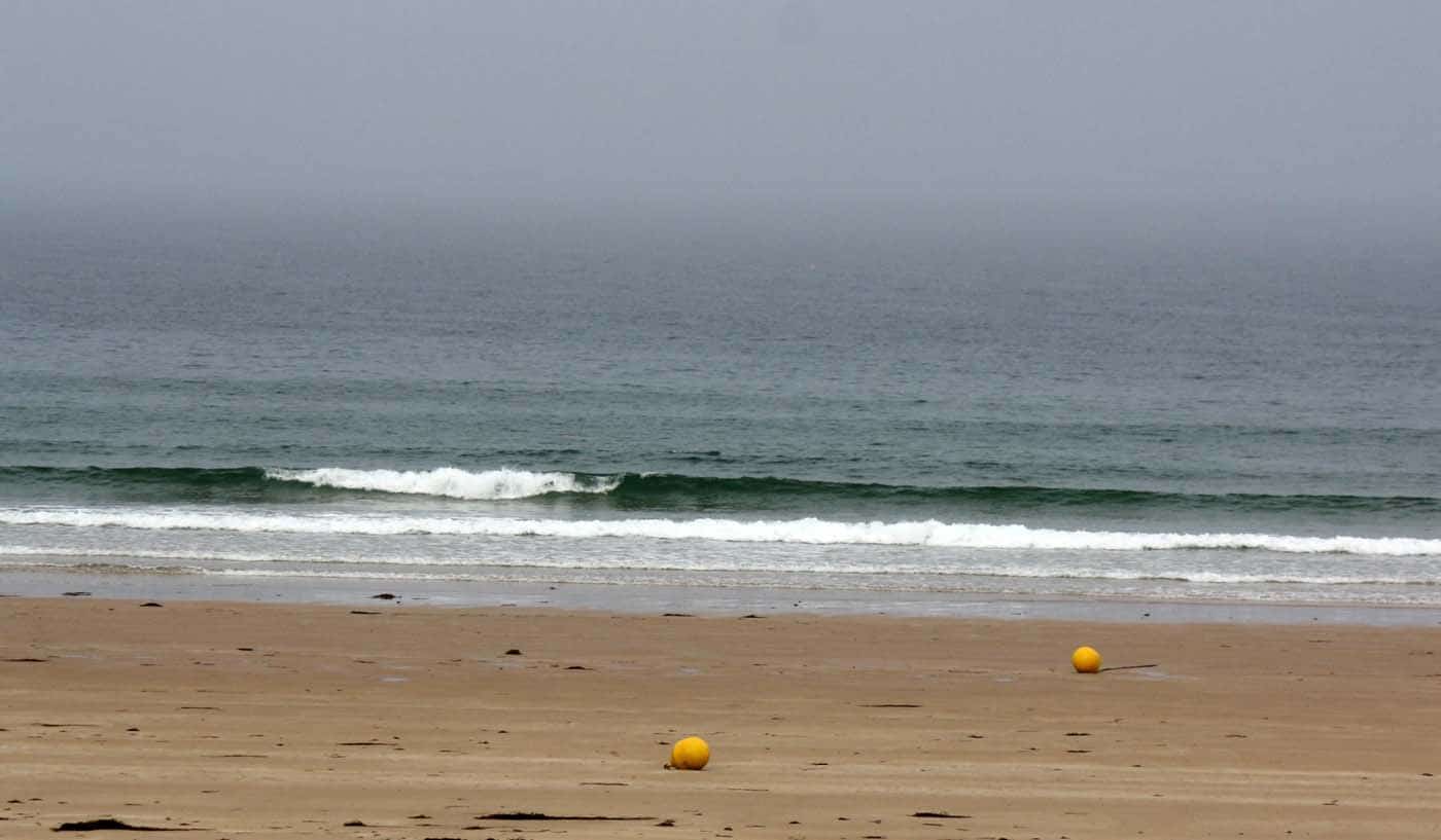Petite houle présente, vent variable faible, ça surfouille !!!! Petite houle présente, vent variable faible, ça surfouille !!!!