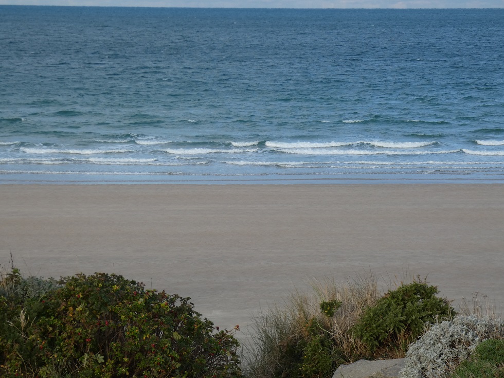 Pas de vagues… Pas de vagues…