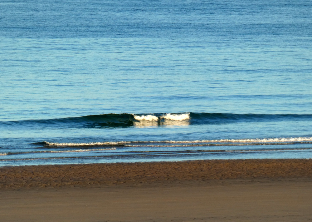 Pas de Houle vent ESE en hausse NO SURF !!!! Pas de Houle vent ESE en hausse NO SURF !!!!