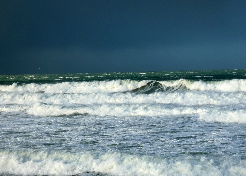 Toujours dans le vent !!!! Toujours dans le vent !!!!