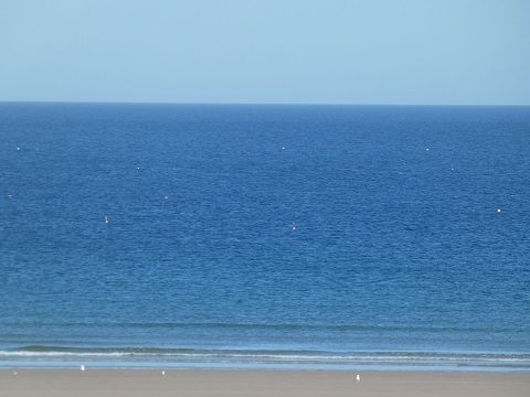 Pas de vagues … Pas de vagues …