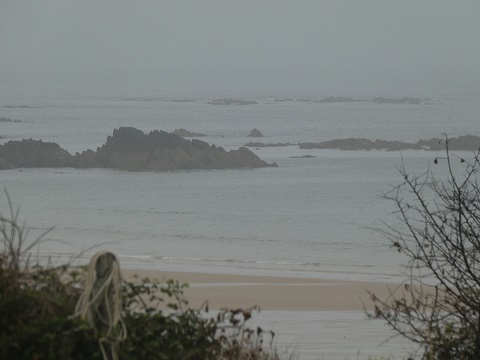 Pas de vagues !! Pas de vagues !!