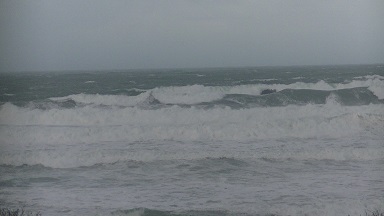 Sauve qui peut !!