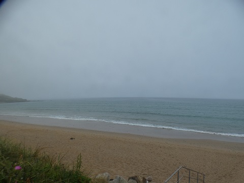 Micro houle et brouillard Micro houle et brouillard