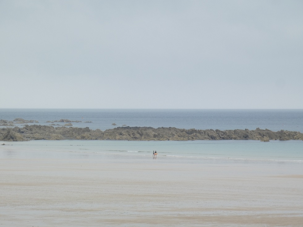 Pas de vagues mais des saucisses Pas de vagues mais des saucisses