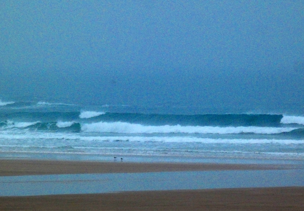 Surfing dans la brume ! Surfing dans la brume !
