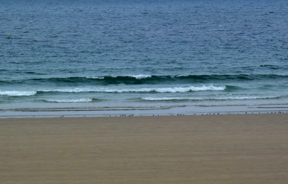 Petites vagues attendues dans la journée vent NNO modéré Petites vagues attendues dans la journée vent NNO modéré