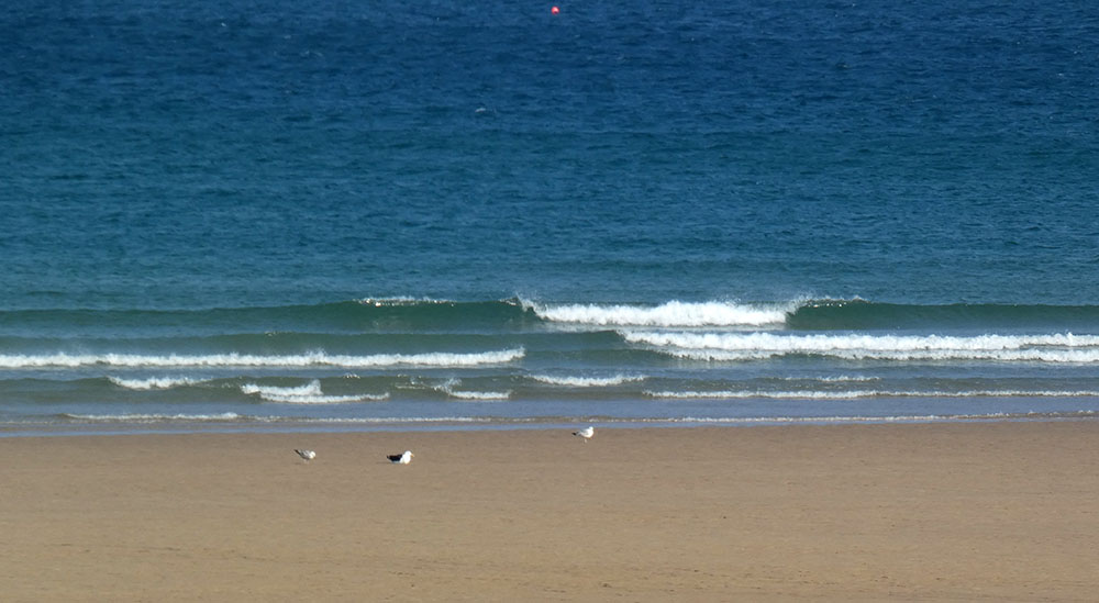 Pas de vagues mais vent attendu en baisse cet après midi !!! Pas de vagues mais vent attendu en baisse cet après midi !!!