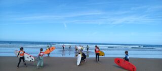 IMG_20240629_104947_385 IMG_20240629_104947_385